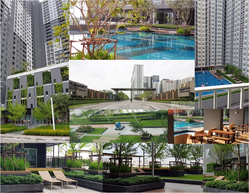 ��¤͹� The trust BTS �����ѳ ��� 10 ��ͧ����������ǹ ����ҡ�ȴ� ���ͧ ��طû�ҡ��