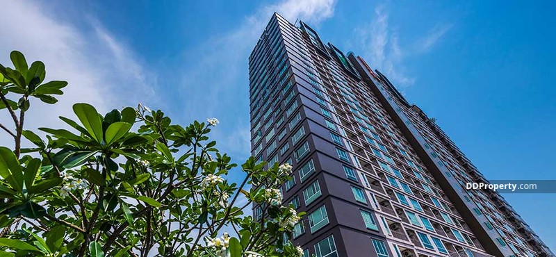 ��� �͹� ����� ��� �ͧ���� �. ྪú��� 2�͹ 2��� ���30 62. 4 ��. �. ��ͧ��� ���� ���������