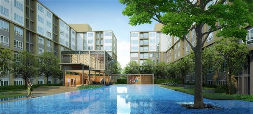 ��� / ��� �͹� �� �͹� (D condo) �ʹ���� �ç��ù�����ͧ ����¡ PMY ���ͧ���ͧ