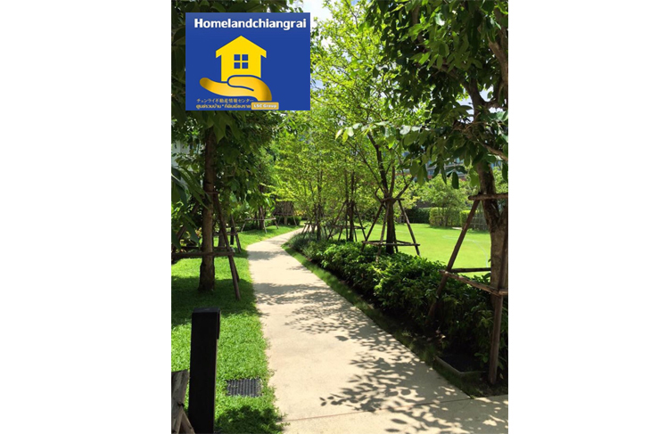 ��´�ǹ �͹�������㨡�ҧ���ͧ��§����