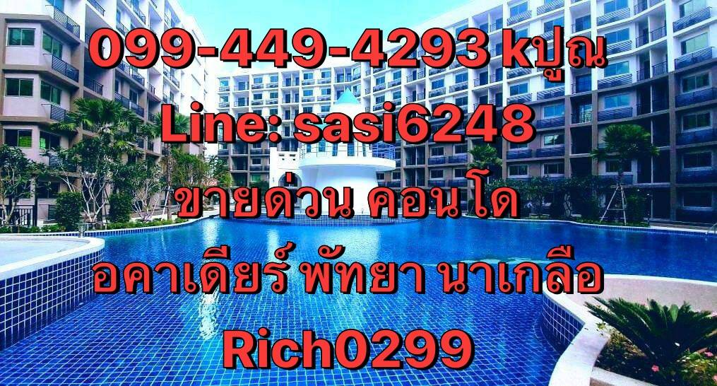 ��´�ǹ�͹� Acardia beach continental  ��ͧ��� �觤ú ��������� �ҤҶ١�ҡ Rich0299 �ѷ�� ������ ������ҷ�Ѩ����