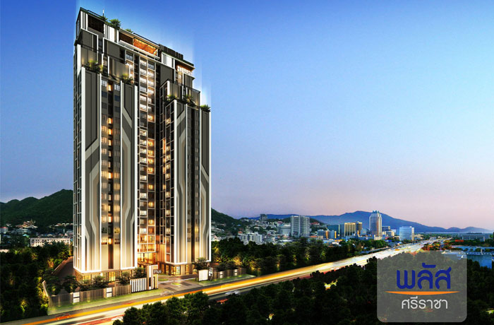 ��ͧ�Ѵ����� �ҤҾ���� �����١���ŧ����¹ #���ʤ͹�����Ҫ� Ŵ˹ѡ �Ѵ��� ��ͧ�����