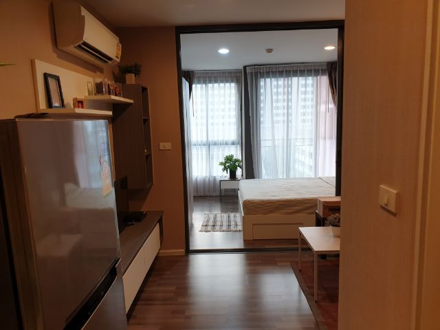 PH329 �����Ҥ͹� �Կ����ʷ� ������˧