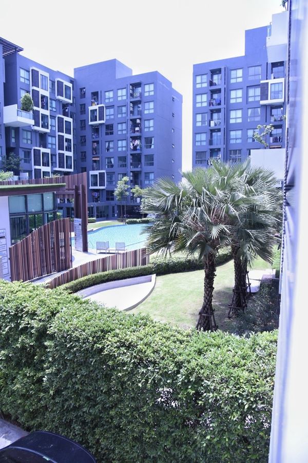 ��¤͹� �Կ����ʷ� ������˧ ��ͧ��� 31 ��� 1�͹1��� ������ (Living Nest Ramkhamhaeng) 