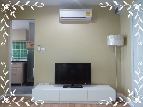 ��´�ǹ �͹� Regent Orchid 101 ��ͧ��� ����٧ �١�ش��ç��� ��¾����������