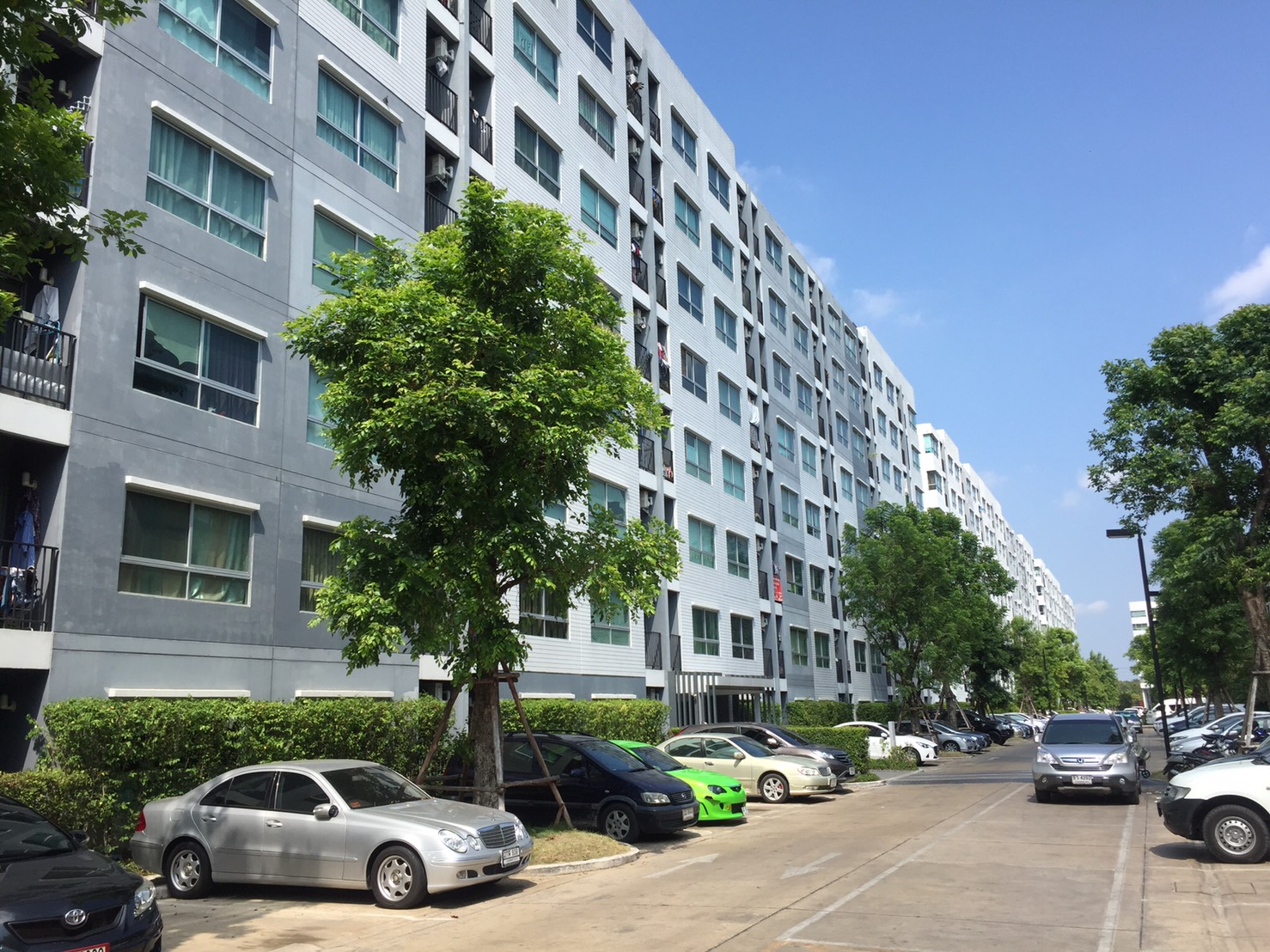 ��¤͹� D Condo ��й������ ���ͧ �������