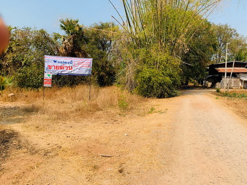 ���Թ���� 298 ���.  ���Ŵ� �ҤҶ١ �.�͹�ͧ �.���ͧ �.��ɳ��š 