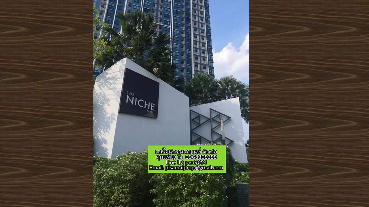 PH556 ��¢Ҵ�ع�͹⴫�¾Ѳ�ҡ�� ��йԪ����Ѫ����