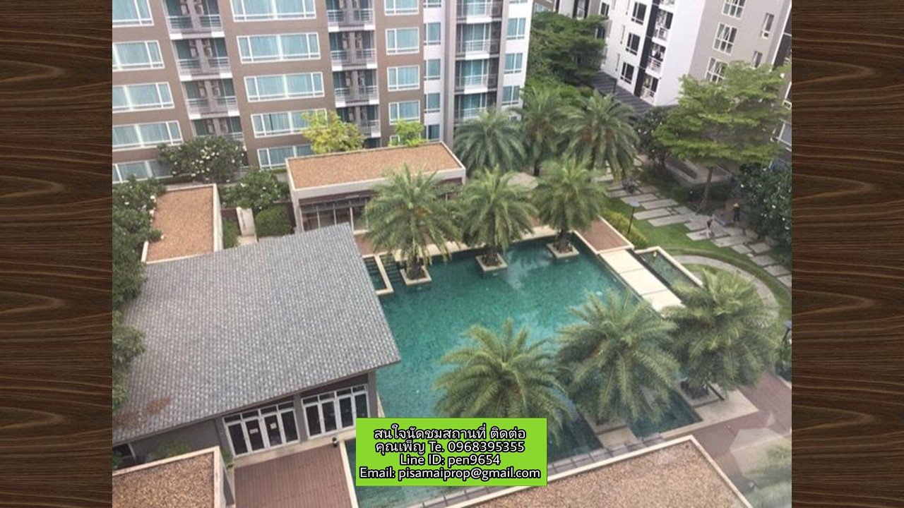 PH575 ���������͢�¤͹�������鹷� ��չ��Թ��� �դ͹ ����ú