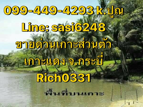 ��·��Թ�����ᴧ �.��к��. ����������Ңͧ���ǡѹ������ (O RICH 0331)