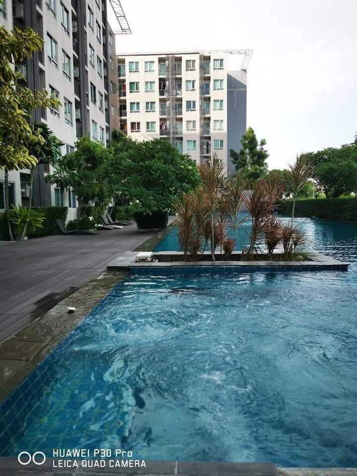 ��¤͹� 28 ��.�