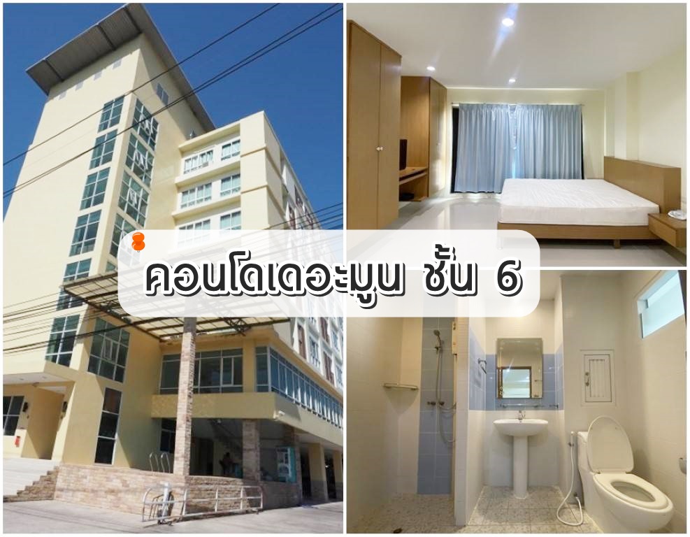 (Cs-2395) �͹�����ٹ ���6 ���ͷ�� 39.58 ��.����