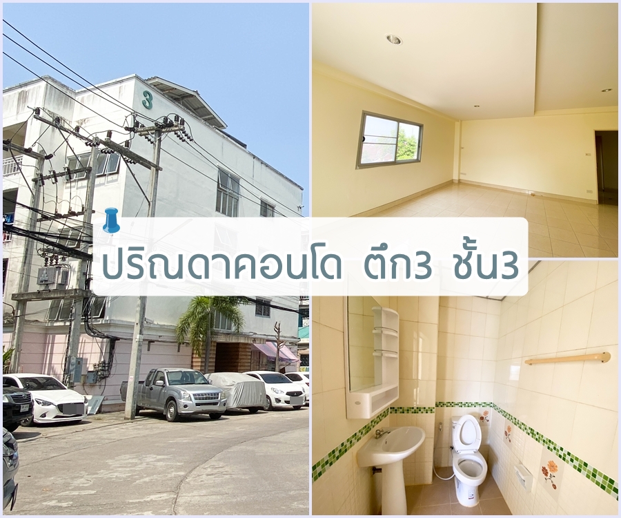 (Cs-2390) ��Գ�Ҥ͹ⴷ�ǹ� �֡ 3 ���3 ���ͷ�� 40.13 ��.����