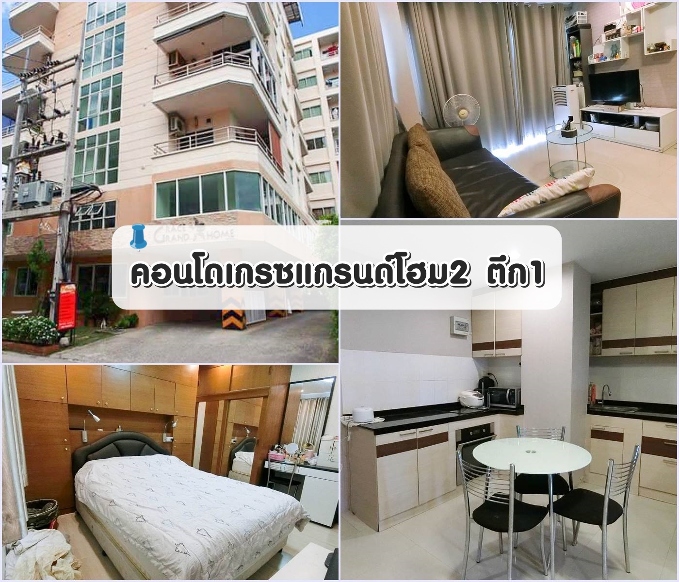 (Cs-2388) �͹��ë�ù�����2 �֡1 ���4 ���ͷ�� 45.92 ��.����