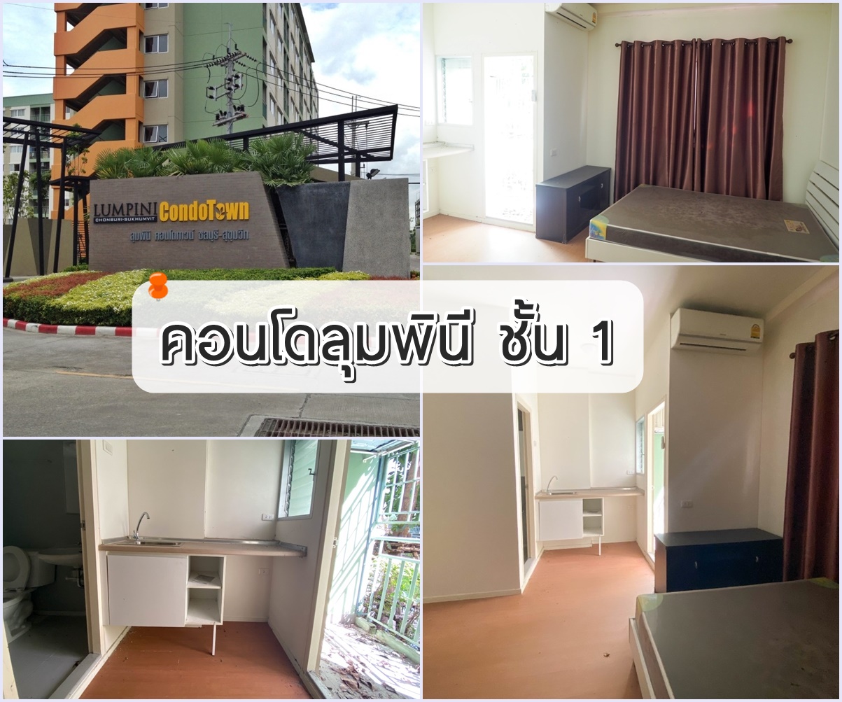 (Cs-2369) �͹�����Թ� ��� 1 ���ͷ�� 21.40 ��.����