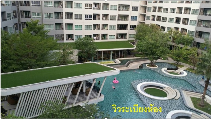 ��¤͹�������� �� ���� (ELIO DEL RAY) ���⢹� ��ا෾�