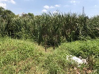 ��·��Թ 940 ��.�. ˹�������ҹ�Թ�� �����ҹ�