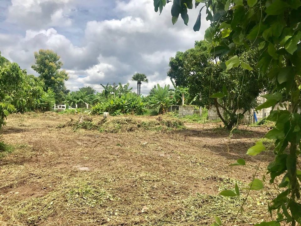 ���Թ�觢�� ⫹�ҧ�� ��§����