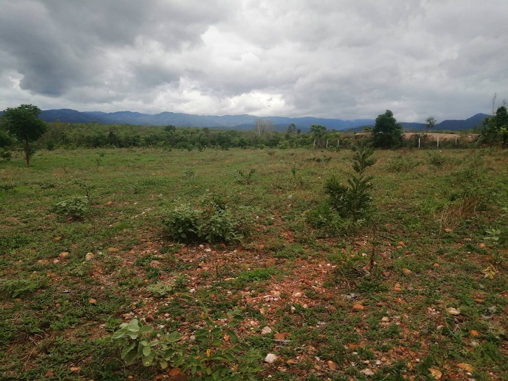 ��·��Թ�Ҥҵ�ӡ����Ҥһ����Թ���Թ ���������Ѻ���ҧ������;ת��� �. �ҡ