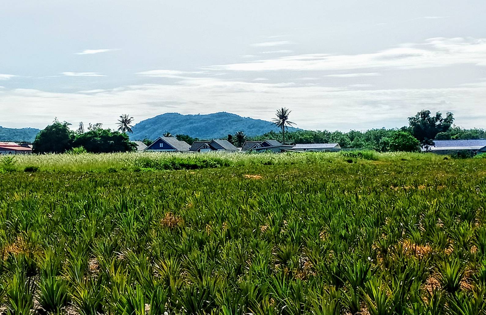 ��´�ǹ ���Թ �ŧ�˭� ����Ѵ���� ����Թ ��ШǺ���բѹ�� ��Ңͧ����ͧ