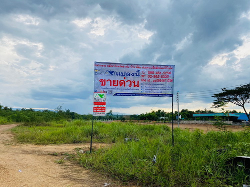 ขายที่ดิน 5-0-36.4 ไร่ ทำเลดี ที่สวยมาก อ.วังสะพุง จ.เลย ขายที่ดิน 5-0-36.4 ไร่ ทำเลดี ที่สวยมาก อ.วังสะพุง จ.เลย