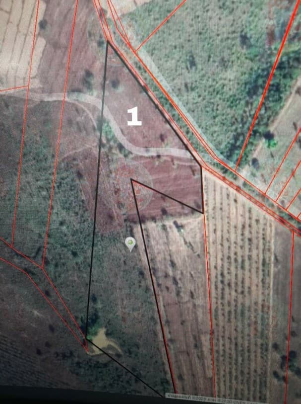 ���� 16 ��� 3 �ҹ ʡ� ��Ңͧ����ͧ