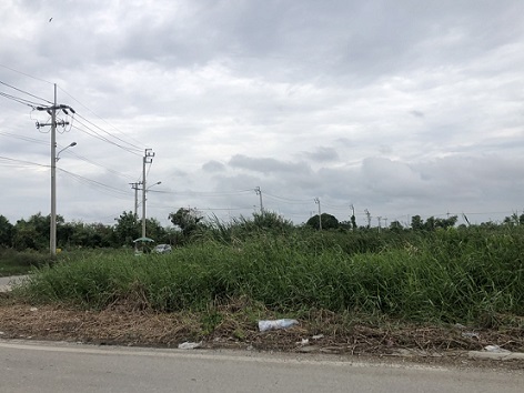 ��ǹ ���Թ ��طû�ҡ�� 2��� 121.3 ��. �� ����Ѵ������չ��� �ҧ��Ҹ� 