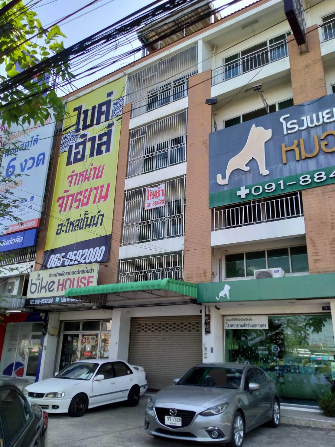 ������ �֡�Ҥ�þҳԪ�� 4 ��� ���������� �ط����� ��� 4 ��û��