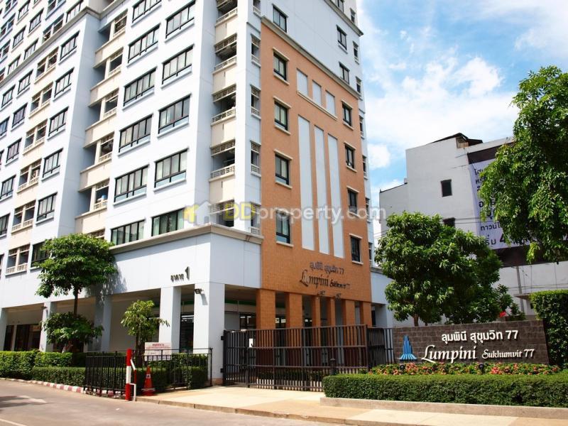 �������Ƿ ! !! 56. 1 ��. �. ���5 ��������ͤ �͹� ����Թ� ����� �آ���Է 77