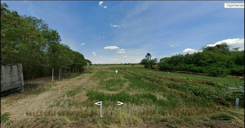 ���Թ���� ������� �.�Ҫ�Ѯ�ǹ�عѹ�� ����;ط����� �ѧ��Ѵ��û��