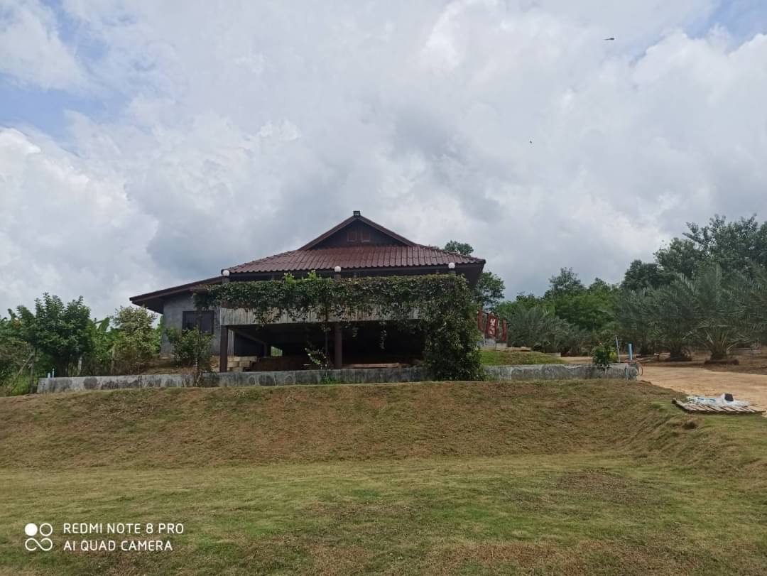 บ้านสวยปลูกสไตล์โมเดิร์น ย่าน  วังน้ำเขียว นครราชสีมา บ้านสวยปลูกสไตล์โมเดิร์น ย่าน  วังน้ำเขียว นครราชสีมา