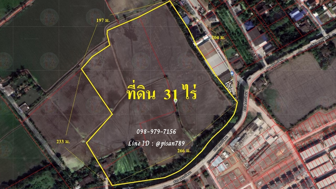 P163 ด่วน !!! ขายที่ดิน 31 ไร่ นครปฐม ติดถนนเลืยบคลองทวีวัฒนา ใกล้ตลาดน้ำดอนหวาย P163 ด่วน !!! ขายที่ดิน 31 ไร่ นครปฐม ติดถนนเลืยบคลองทวีวัฒนา ใกล้ตลาดน้ำดอนหวาย