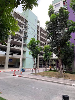 ��´�ǹ ����Թ� �͹ⴷ�ǹ� �ź���-�آ���Է ���ͷ����ͧ 24.64 ���ͷ������§ 1.96 ��� 1 ��ͧ�͹ 1 ��ͧ��� ʹ㨵Դ��� 0972468779