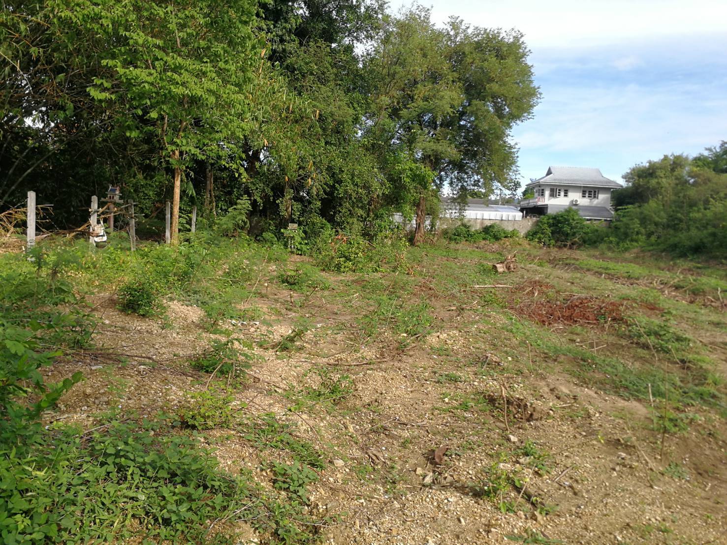 ขายที่ดินเปล่า  1-1-11 ไร่  ซ.พุรางนิมิตร 5  ขายที่ดินเปล่า  1-1-11 ไร่  ซ.พุรางนิมิตร 5