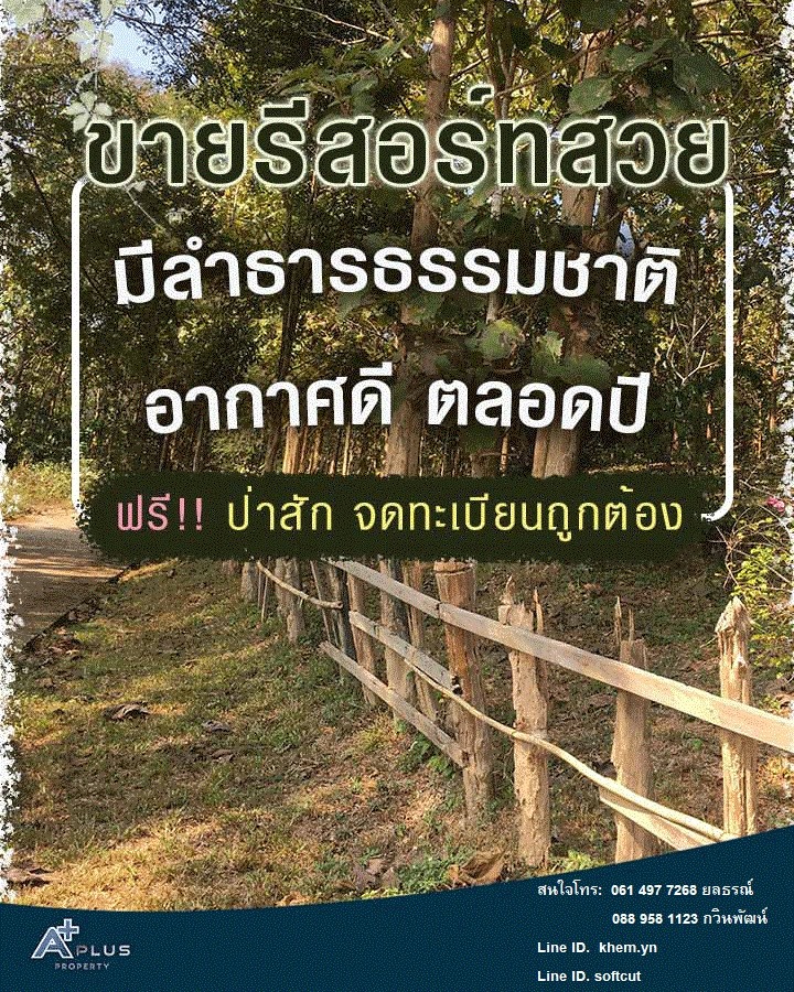 ��С�Ȣ�� ���������¹��ͤ��  ������������ �.�ӻҧ 