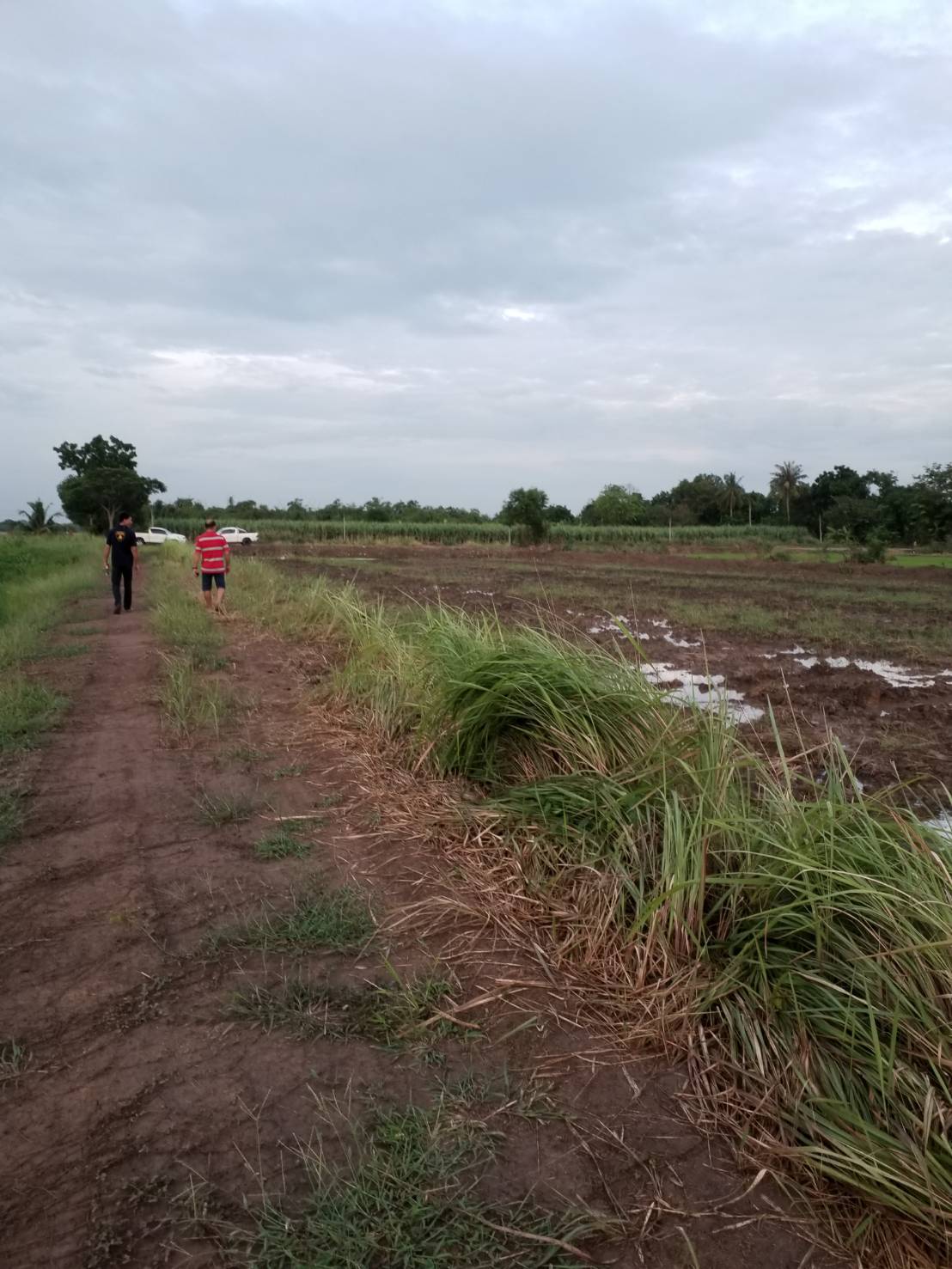 ��·��Թ  ��ͧ8 �.�֧�͹ �.˹ͧ���� �.�����ҹ� 