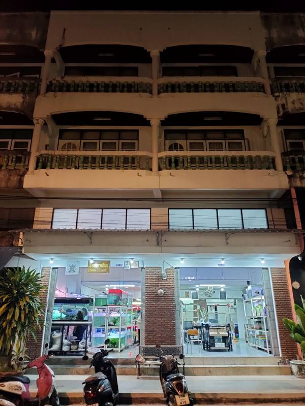 ��¶١�Ҥ�þҳԪ�� 2 ���ҵԴ�ѹ ��ҧ���ͧ����� �Դ�����ѡ��ҹ��ä�� ���ػ�ó�������������� ����������ͧ�͹�ء��ͧ