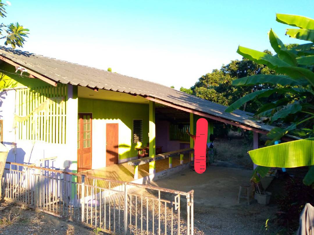 ��� ���Թ �������ҹ�ǹ ��Ңͧ����ͧ ⩹�������͹ ����� ��§����