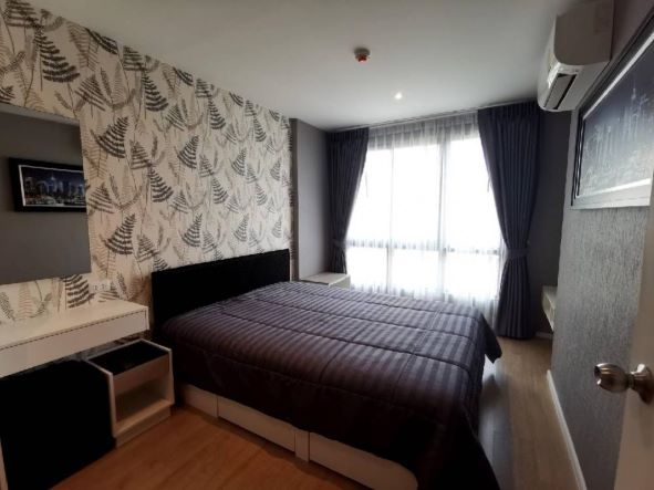 CM03888 ��� �ͤ͹� ������ ��չ�໫  iCondo Serithai Greenspace ��������� 