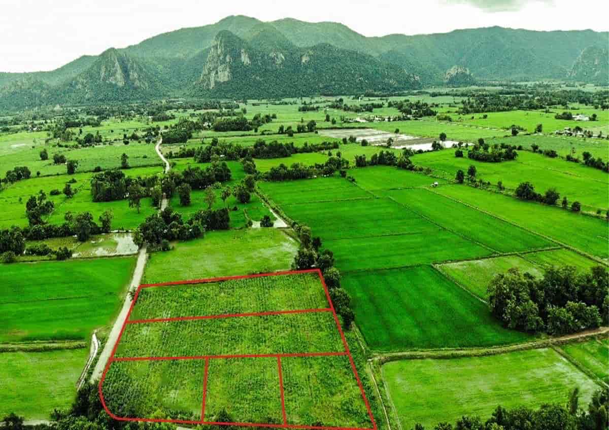 ·Թ ⩹رᴧ  .Թ .á .ä