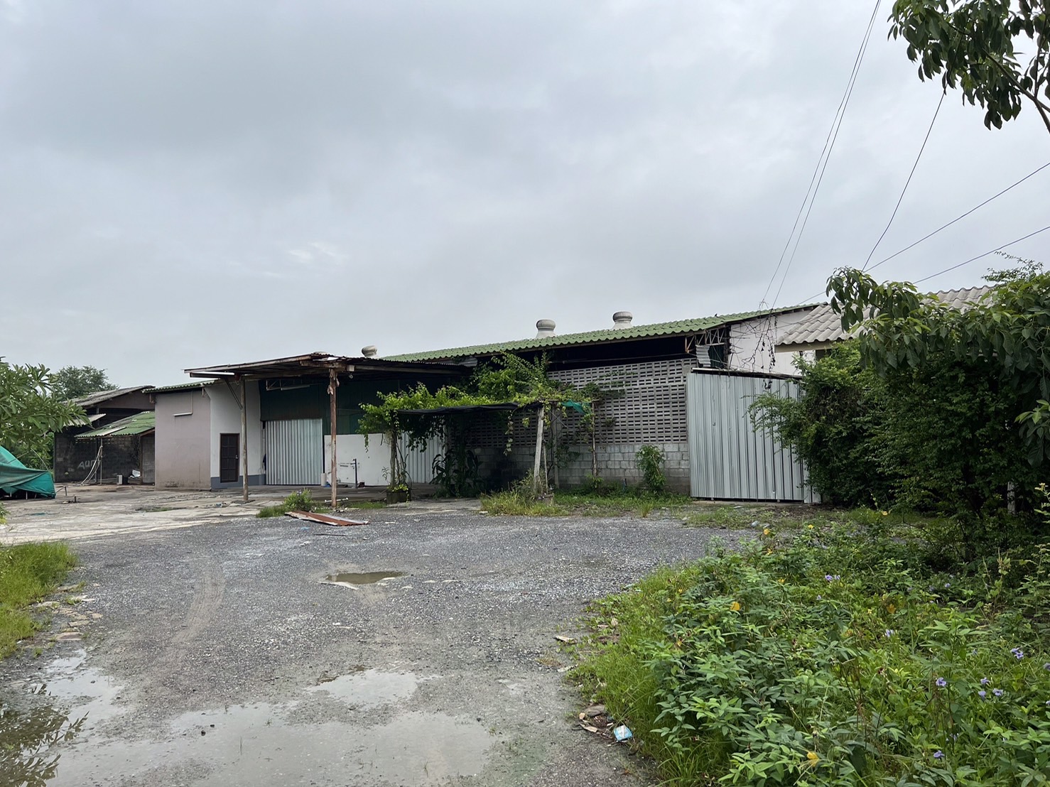 ������ ⡴ѧ���ͷ�� 1 ��� ����������� �ѧ��Ѵ��û�� ��Ҿ�վ������ҹ ������ �45,000/�.