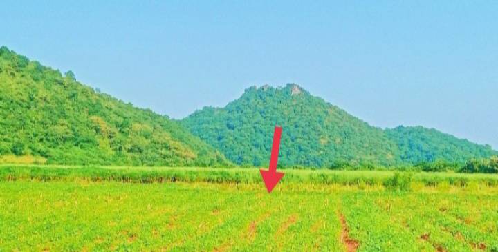 ¡��ԡ��С��