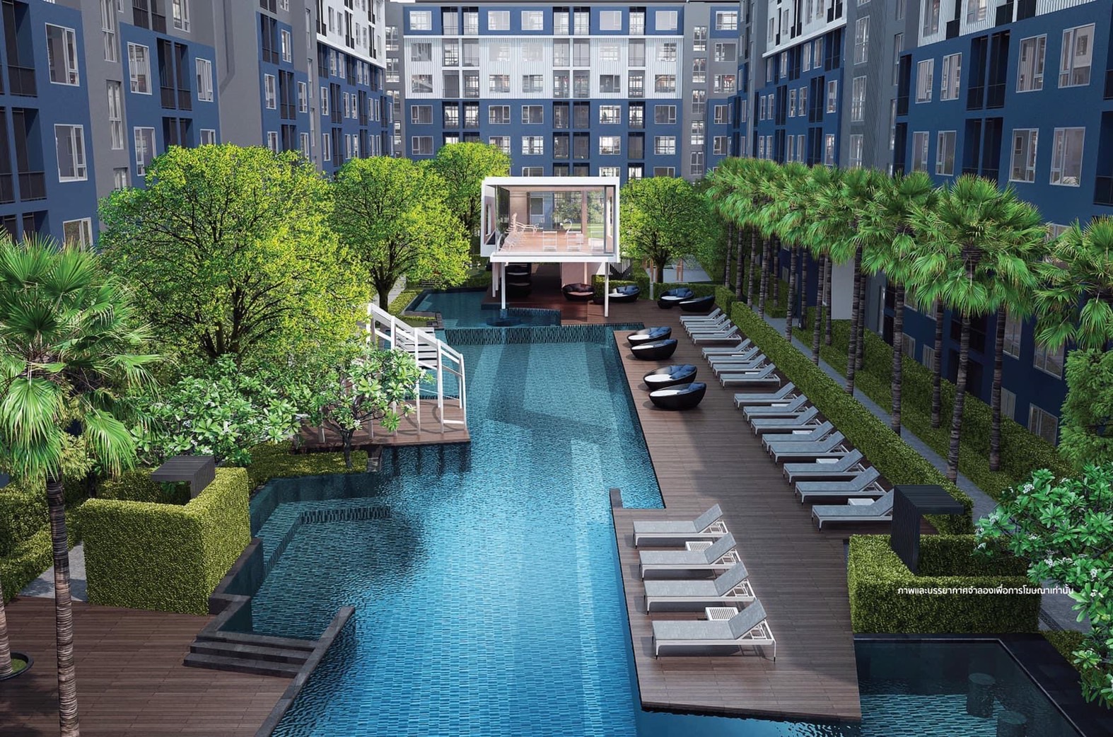 ��´�ǹ�͹� ��� �͹���ͧ 25��� 1.803� T0918605330