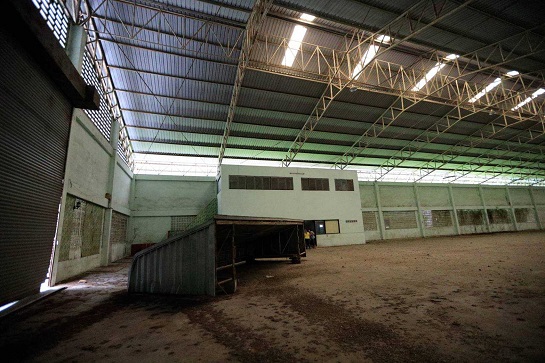 ⡴ѧ������ �ԡѴ�ط�������� 8 ��Ҵ 546 ���ҧ����