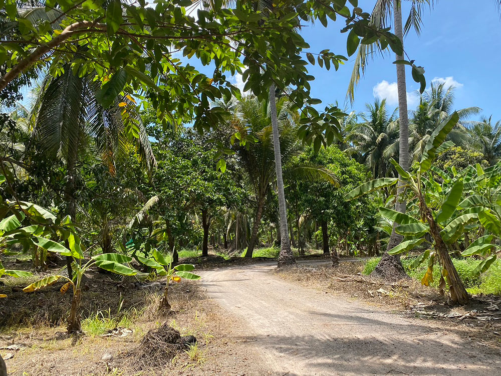 ��·��Թ 13 ��� 1 �ҹ 26 ��� �Դ�����ͧ �ն����ҹ˹���ǹ ����������� ��ط�ʧ����