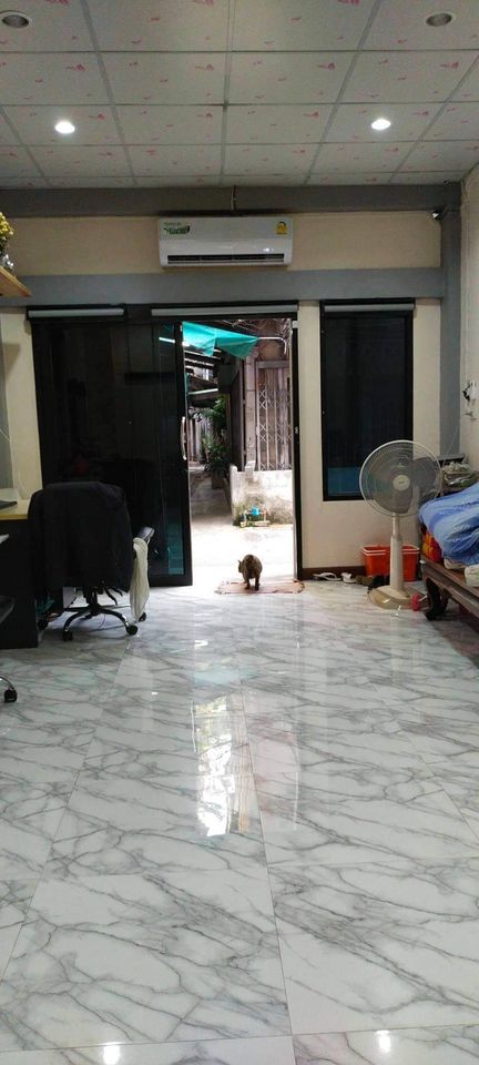 �Ҥ�þҳԪ�� 4 ��� ����Ѻ�ѡ����� ���������ŧ�ع ��Ң�� �Դ����ѷ 㨡�ҧ���ͧ ���� �ҷ� 