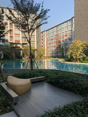 Dcondo Ping ��Ǵ�� ���觤ú������������ ��� 2.1 ��ҹ 