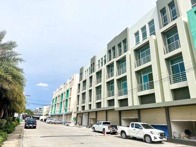 ����Ҥ�þҳԪ�� 4 ��鹤��� �ѷ���� ���Ŵ� ����Ҵ�����¹ 3 ��. �Ѻ��ǹŴ 250,000 �ҷ