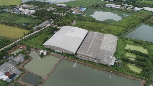 KM202 For Sale ��� �ç�ҹ ��蹴���-�ͼ�� �����⡴ѧ ����� �͹حҵ ç.4 ��з���ẹ ��ط��Ҥ�