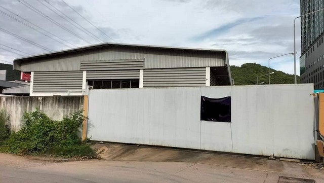 ���⡴ѧ ����Ϳ�Ե �����ش� �Ӻ� ����آ�� ���������Ҫ� �ź���